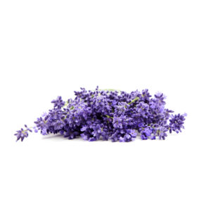 AE lavanda