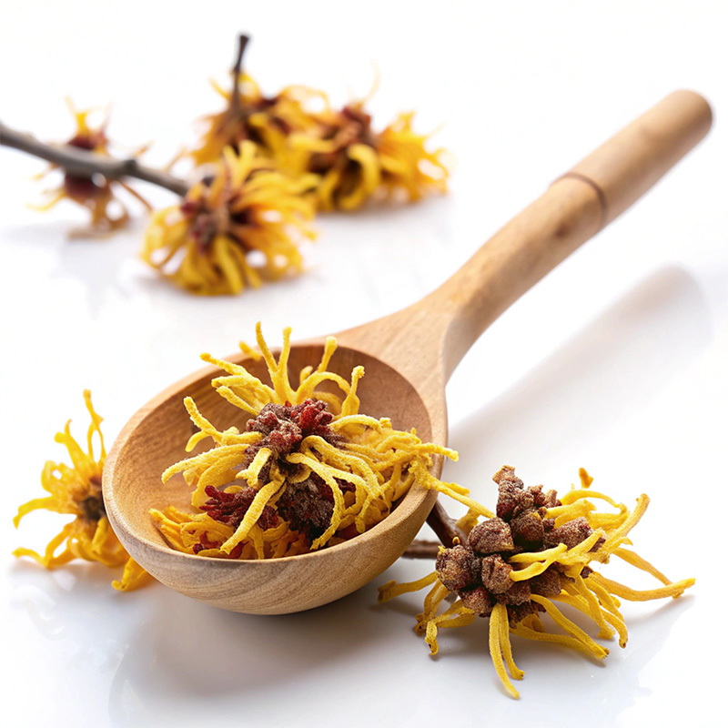 Extracto de hamamelis
