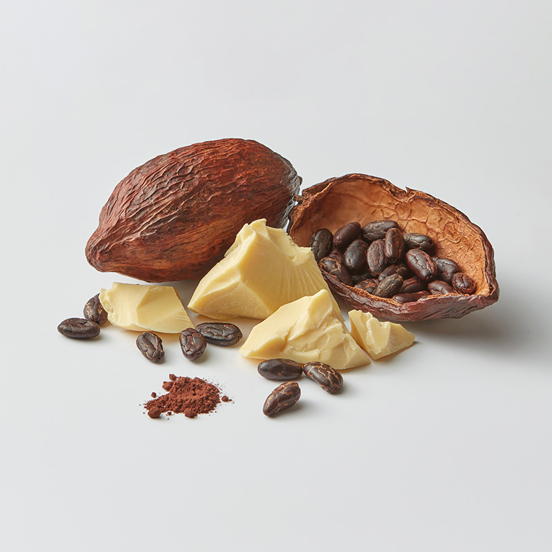 Manteca de cacao